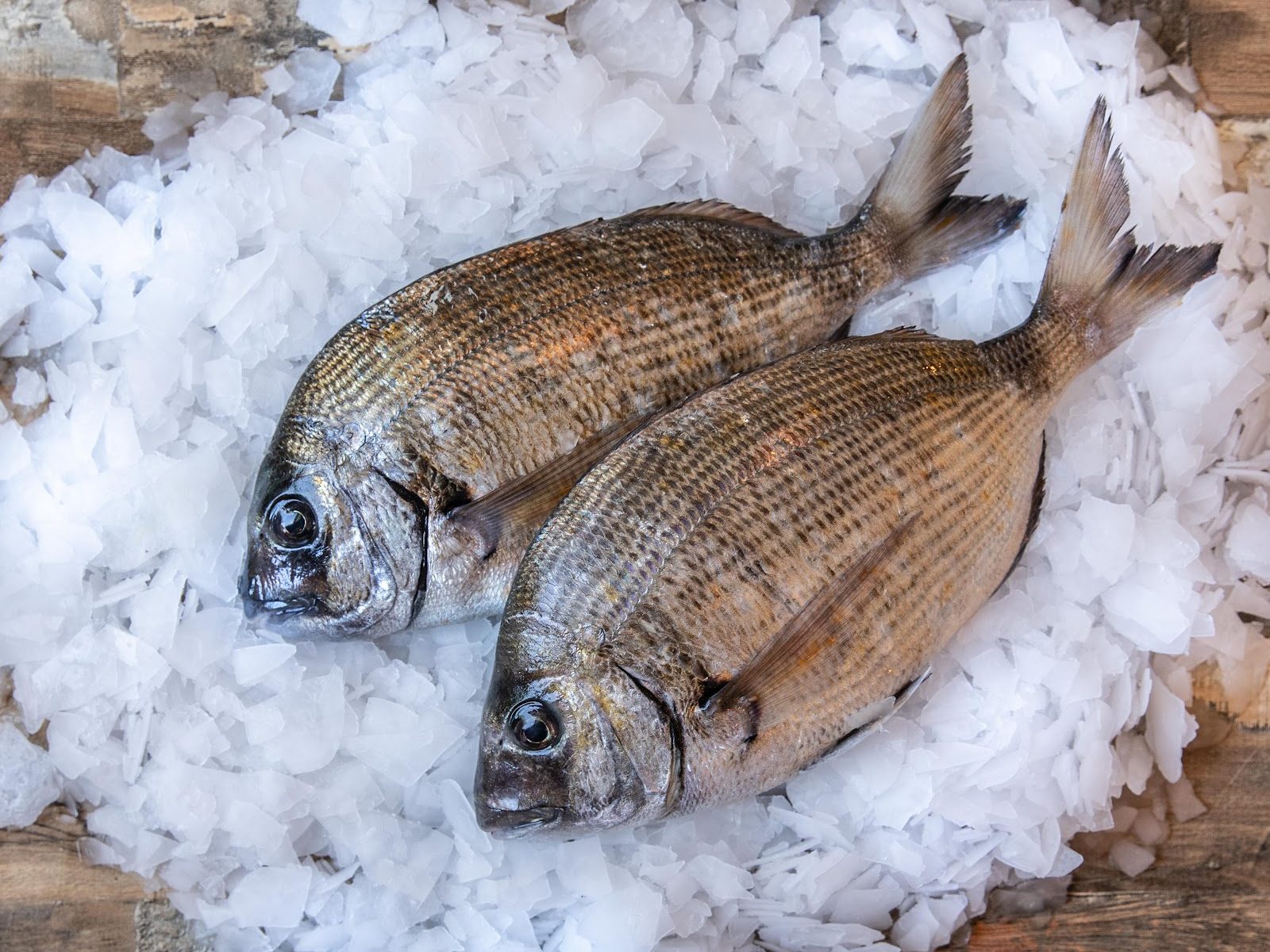 Les Poissons d'abord, restaurant à Montpellier