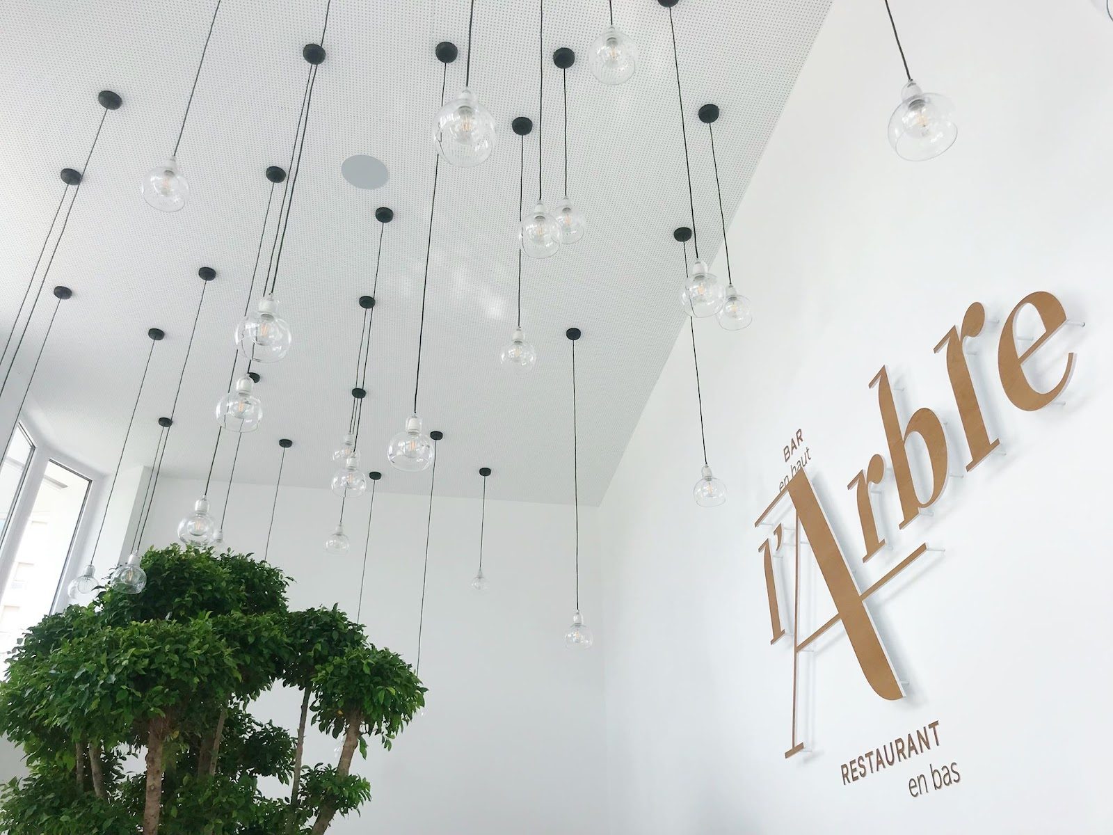 Restaurant l'Arbre et Bar en Haut, restaurant à Montpellier